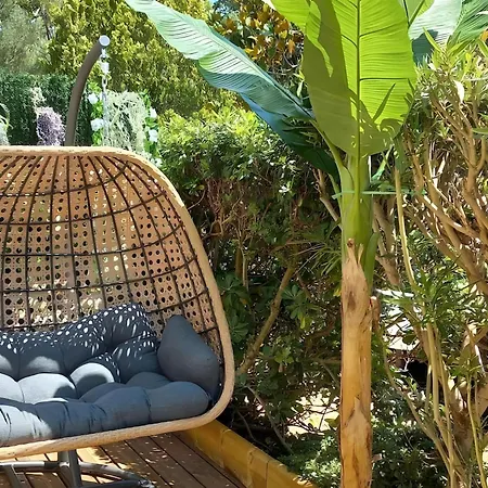 Coconhut - Terrace - Pool Daire